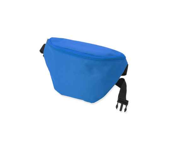 Поясная сумка VULTUR, BO7548S105, Цвет: синий, изображение 5