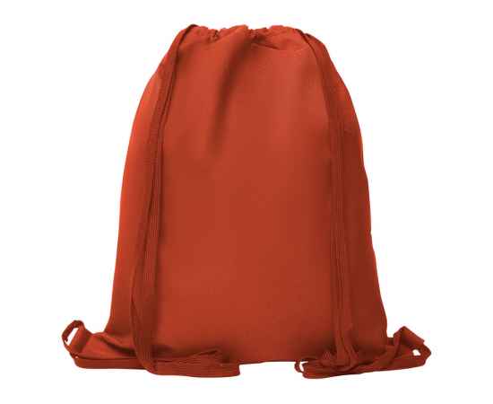 Рюкзак спортивный ZORZAL, BO71579060, Цвет: красный, изображение 2