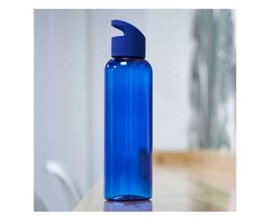Бутылка KINKAN, MD4038S105, Цвет: синий, Объем: 650, изображение 2