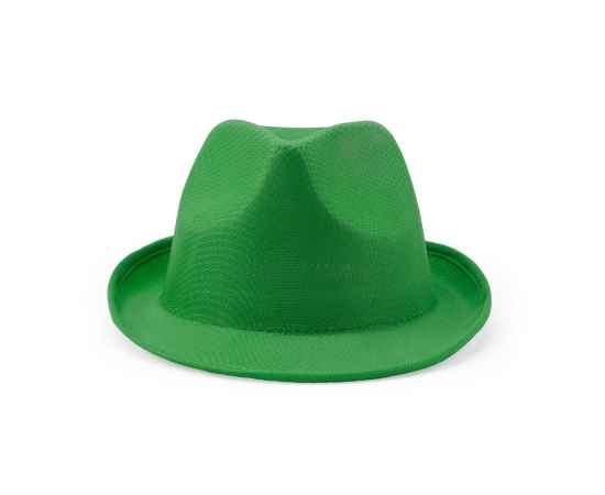 Шляпа DUSK, GO7060S1226, Цвет: зеленый, изображение 3