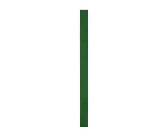 Лента для шляпы COMET, GO7013S156, Цвет: зеленый бутылочный, изображение 2