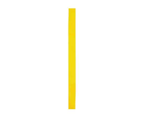Лента для шляпы COMET, GO7013S103, Цвет: желтый, изображение 2