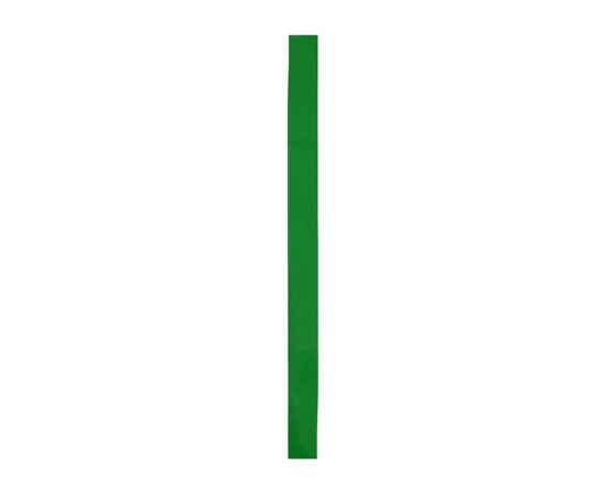 Лента для шляпы COMET, GO7013S1226, Цвет: зеленый, изображение 2