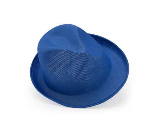 Шляпа DUSK, GO7060S105, Цвет: синий, изображение 3
