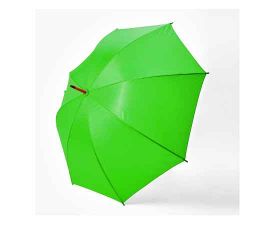 Зонт-трость LYSE, механический, UM5607S1226, Цвет: зеленый, изображение 2