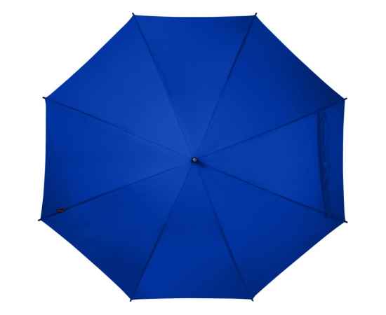 Зонт-трость Niel из из RPET, 10941853, Цвет: ярко-синий, изображение 2