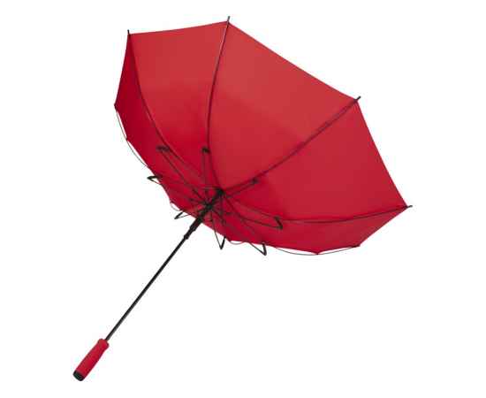 Зонт-трость Niel из из RPET, 10941821, Цвет: красный, изображение 3