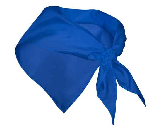 Шейный платок FESTERO треугольной формы, PN900305, Цвет: синий, изображение 2