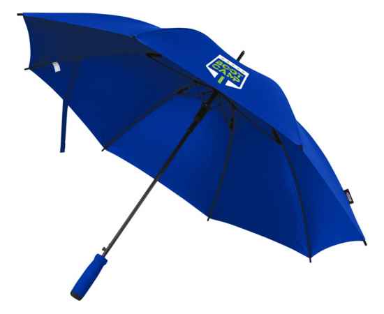 Зонт-трость Niel из из RPET, 10941853, Цвет: ярко-синий, изображение 7