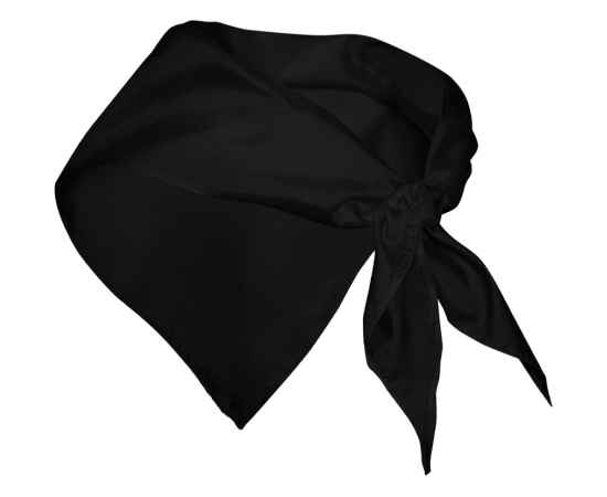 Шейный платок FESTERO треугольной формы, PN900302, Цвет: черный, изображение 2