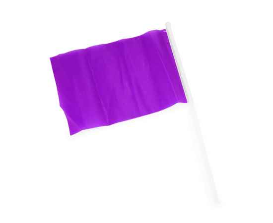 Флаг CELEB с небольшим флагштоком, PF3103S163, Цвет: лиловый, изображение 2