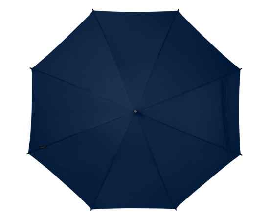 Зонт-трость Niel из из RPET, 10941855, Цвет: navy, изображение 2
