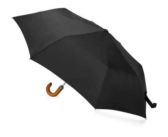 Зонт складной Cary, 979077p, Цвет: черный, изображение 2