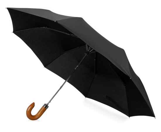 Зонт складной Cary, 979077p, Цвет: черный