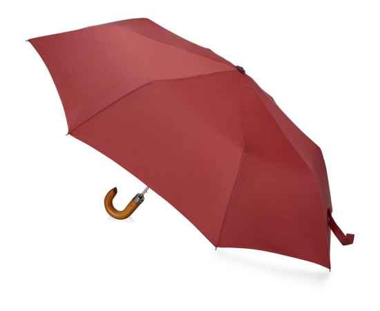 Зонт складной Cary, 979078p, Цвет: бордовый, изображение 2