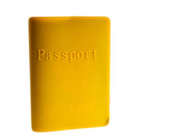 Силиконовая обложка для паспорта