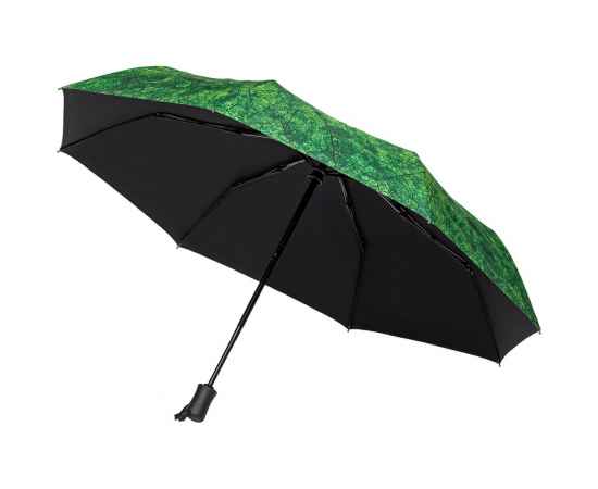 Зонт складной Evergreen, Размер: длина 57 см, изображение 2