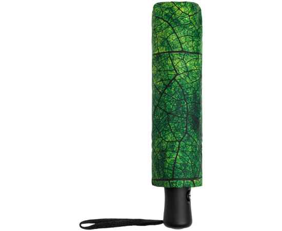 Зонт складной Evergreen, Размер: длина 57 см, изображение 3