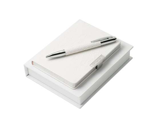 Набор (записная книжка, ручка шариковая), белый, Цвет: белый