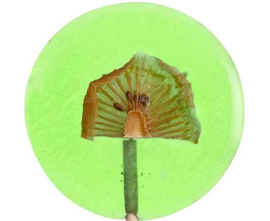 Леденец Lollifruit, зеленый с киви, Цвет: зеленый, изображение 3