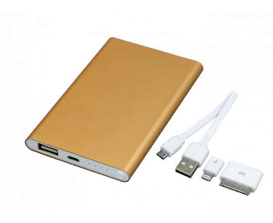 PBM01.4000MAH.Золотой, Цвет: золотой, Интерфейс: USB 2.0, изображение 2