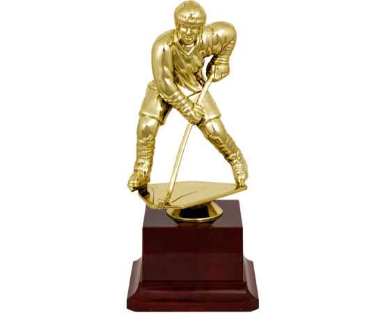 2301-190 Фигура Хоккей (золото), Цвет: Золото, изображение 2