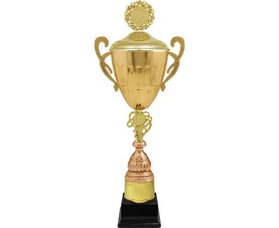 6222-300 Кубок Блейки, бронза, изображение 2