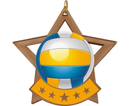2868-003 Акриловая медаль волейбол, бронза, Цвет: Бронза, изображение 2