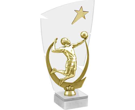 Акриловая награда Волейбол, 23 (прозрачный), изображение 2