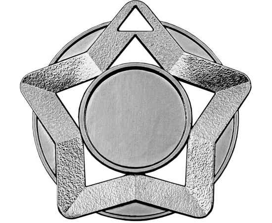 3586-060 Медаль Звезда, серебро, Цвет: серебро, изображение 2
