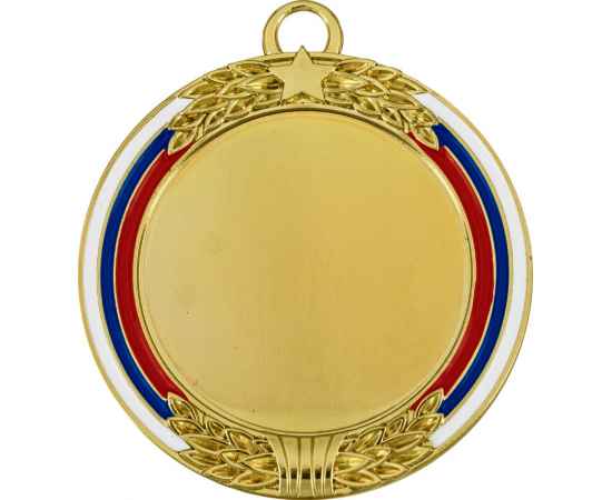 3599-070 Медаль Вильва, золото, Цвет: Золото, изображение 2
