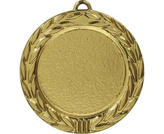 3650-000 Медаль Вуктыл, золото, Цвет: Золото, изображение 2