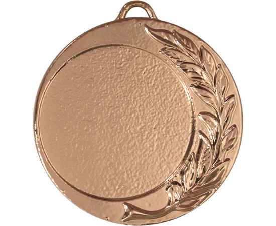 3651-000 Медаль Колежма, бронза, Цвет: Бронза, изображение 2