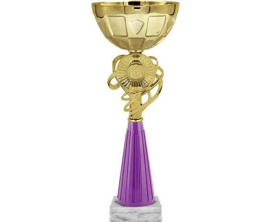 6396-107 Кубок Тонья, золото, изображение 2