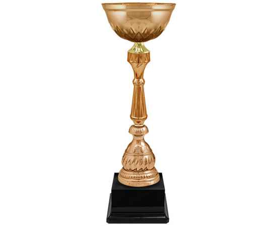 6490 Кубок Мэрион, бронза, Цвет: Бронза, изображение 2