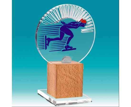 2469-110 Акриловая награда Конькобежный спорт, 10х16х10 (прозрачный), изображение 2