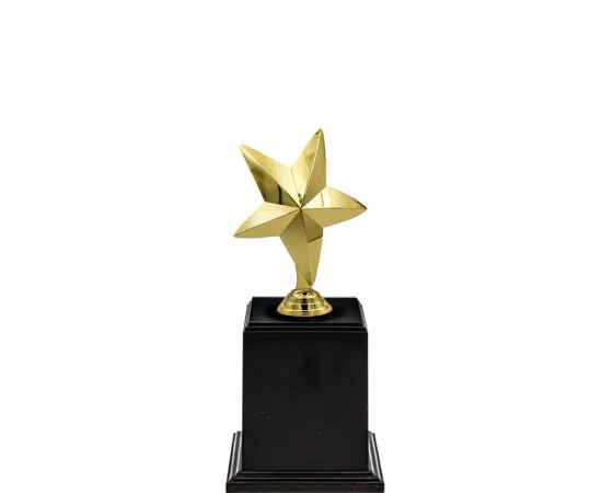 2675-000 Награда (золото), Цвет: Золото, изображение 2