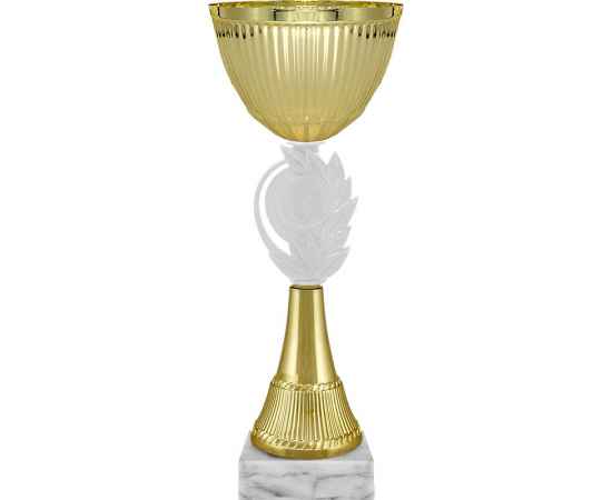 5653-101 Кубок Кэйл, золото, Цвет: Золото, изображение 2