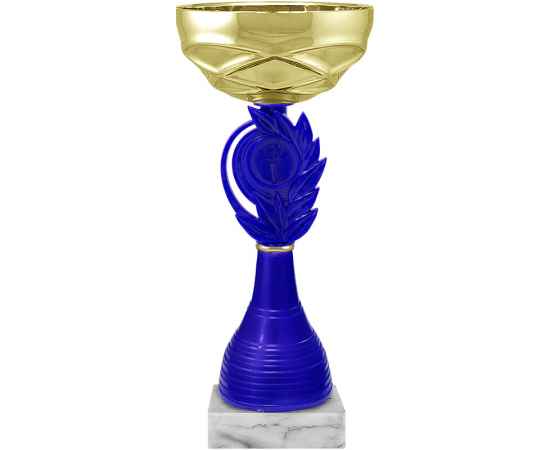 5699-103 Кубок Шаник, золото, изображение 2