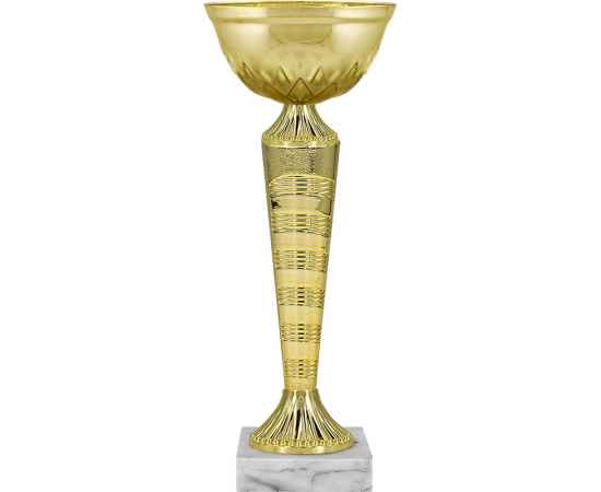 5740-000 Кубок Йорк, золото, Цвет: Золото, изображение 2