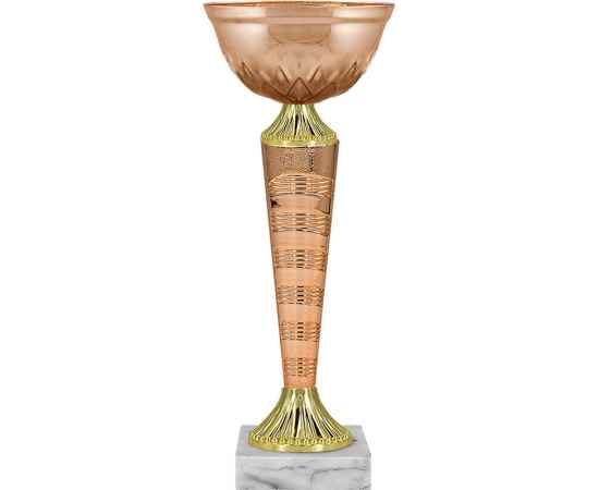 5740-000 Кубок Йорк, бронза, Цвет: Бронза, изображение 2
