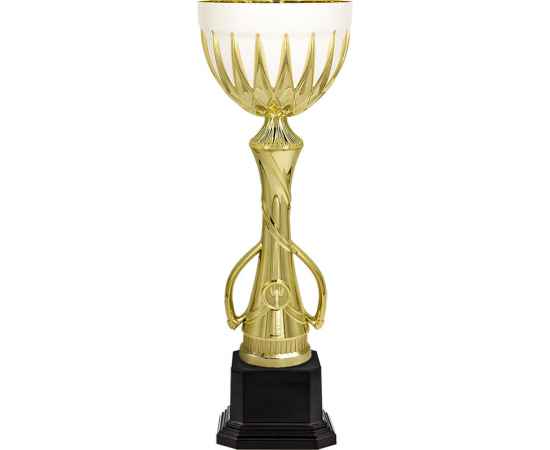 5768-000 Кубок Лансер, золото, Цвет: Золото, изображение 2