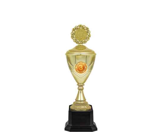 5849-000 Кубок Лестр 1,2,3 место, золото, Цвет: Золото, изображение 2