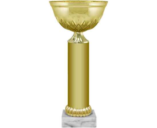 5925-000 Кубок Рокси, золото, Цвет: Золото, изображение 2