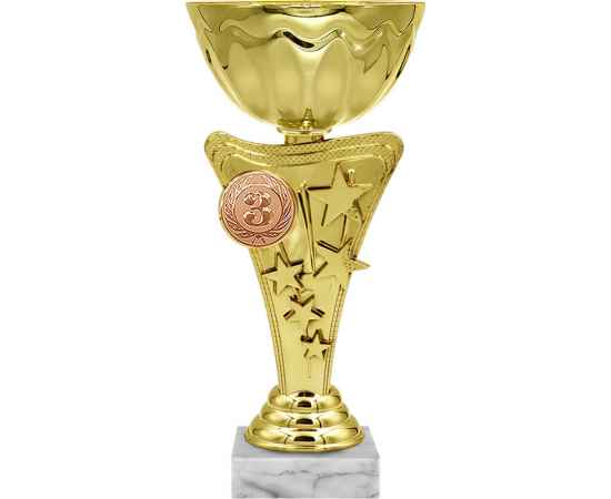 5936-000 Кубок Ширли 1,2,3 место, золото, изображение 2