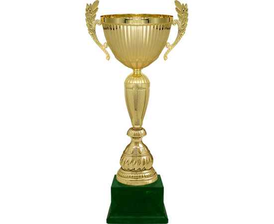 5941-105 Кубок Рамиль, золото, изображение 2