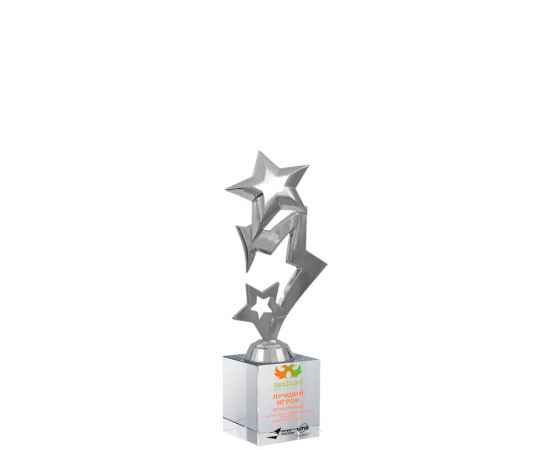 2498-УФ0 Награда Звезды с цветным нанесением (серебро), Цвет: серебро, изображение 2