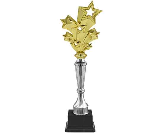 Награда Звезды (серебро), изображение 2