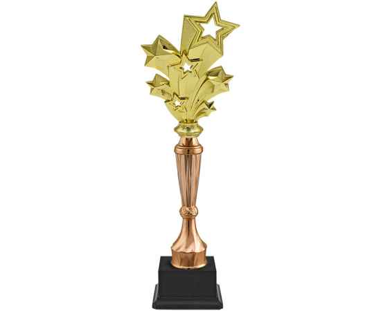 Награда Звезды (бронза), изображение 2