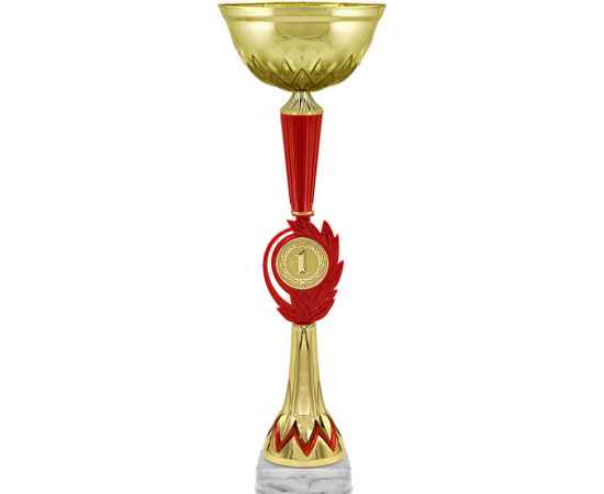 5991-000 Кубок Шеддл 1,2,3 место, золото, Цвет: Золото, изображение 2